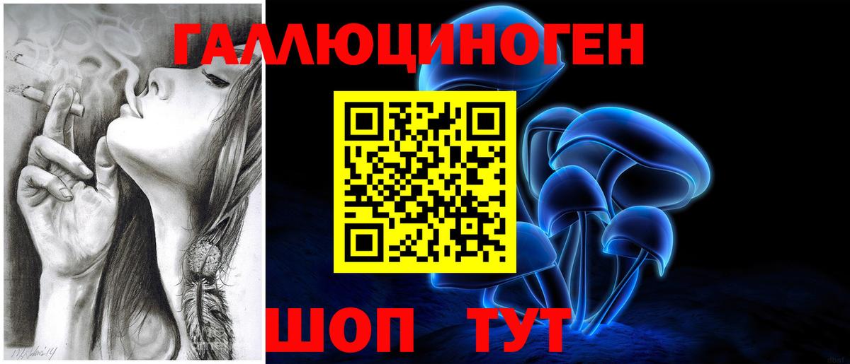 Галлюциногенные грибы Psilocybine cubensis Горно-Алтайск