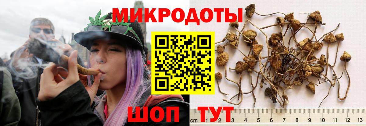Галлюциногенные грибы MAGIC MUSHROOMS  Вход с VPN  Горно-Алтайск  Галлюциногенные грибы Psilocybe 